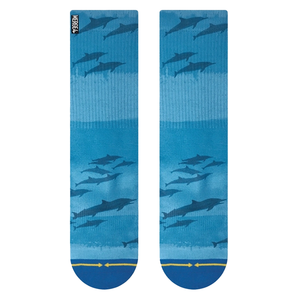 Dave Nelson Dolphins