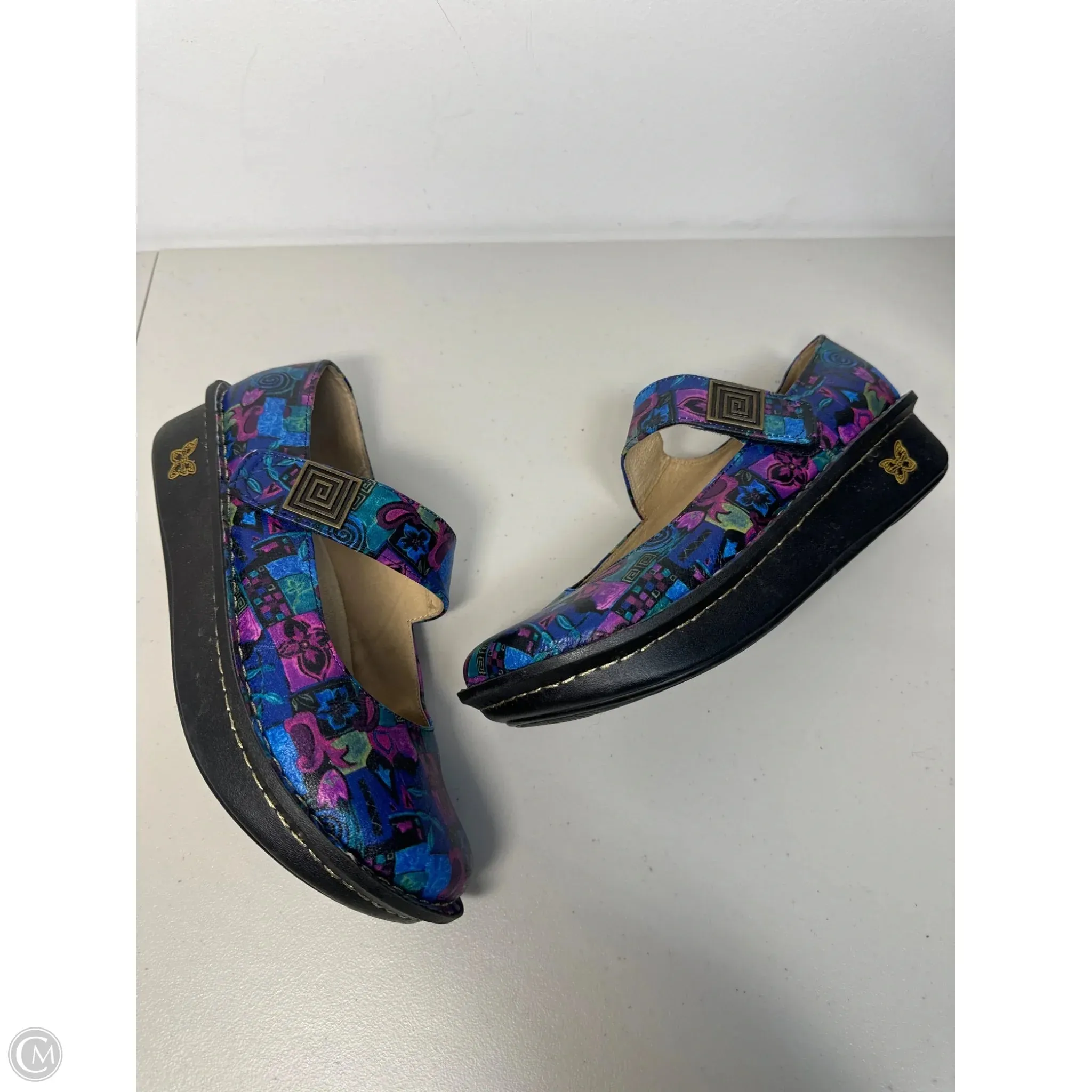 Shoes Flats By Alegria In Blue & Purple, Size: 9.5