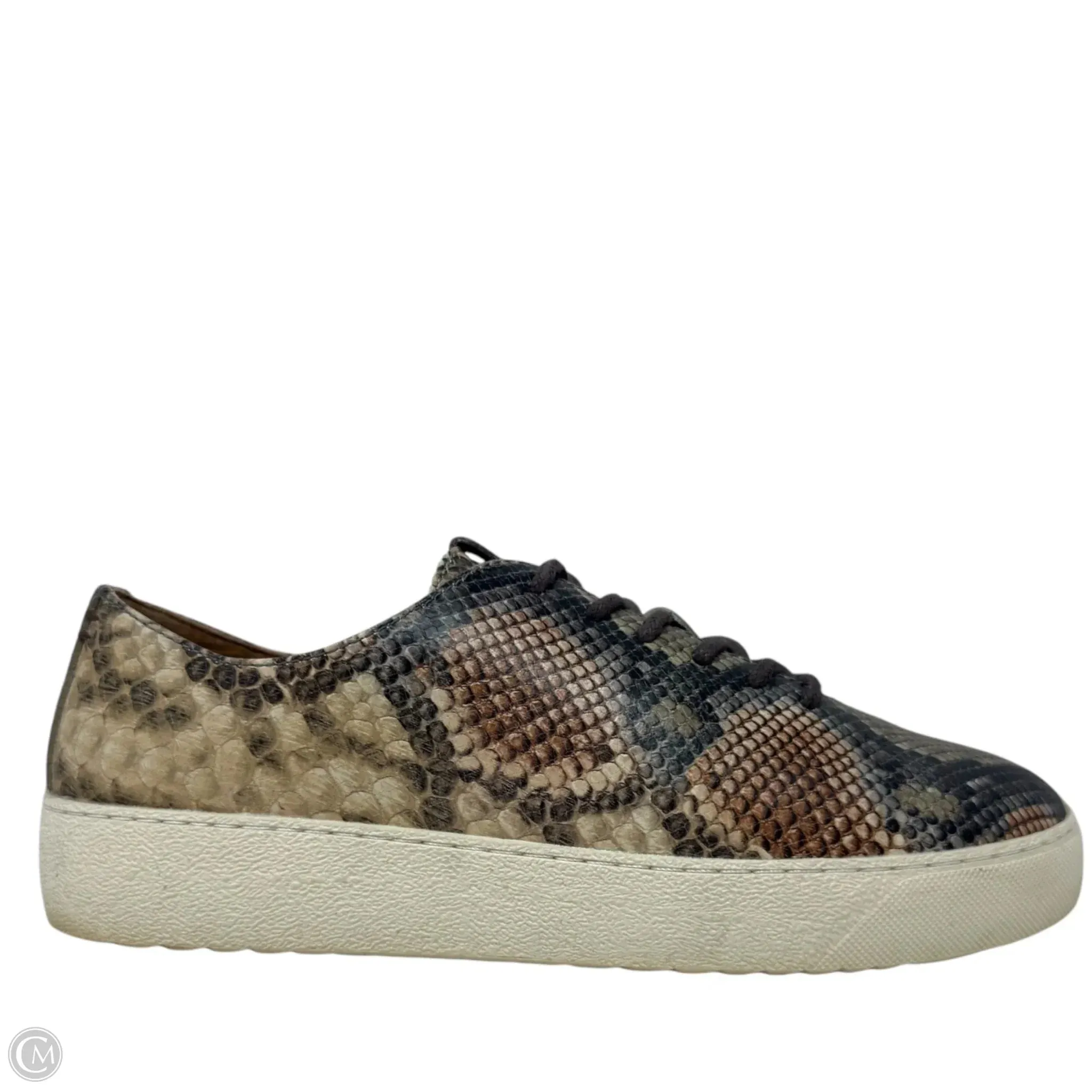 Webster Low Laced Up Sneakers Designer By Frye In Taupe Snake, Size: 7.5