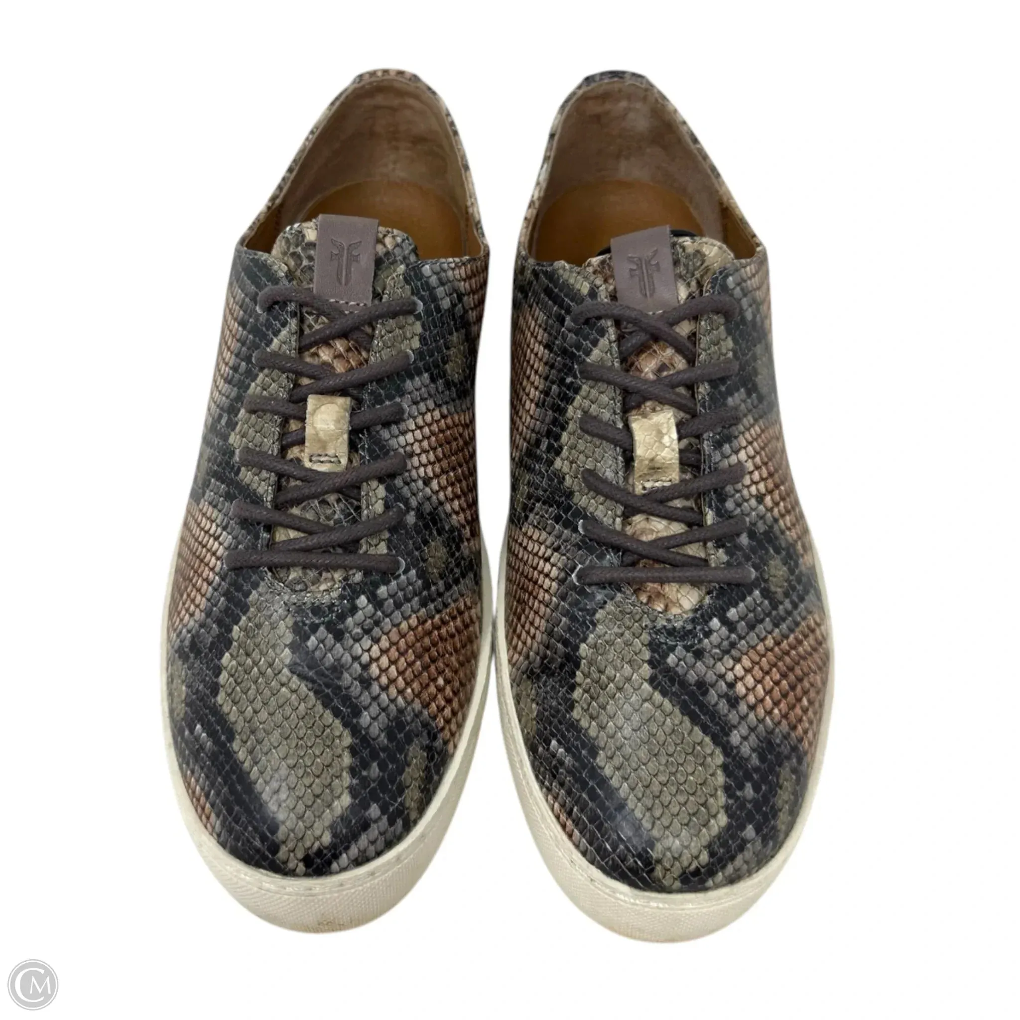 Webster Low Laced Up Sneakers Designer By Frye In Taupe Snake, Size: 7.5