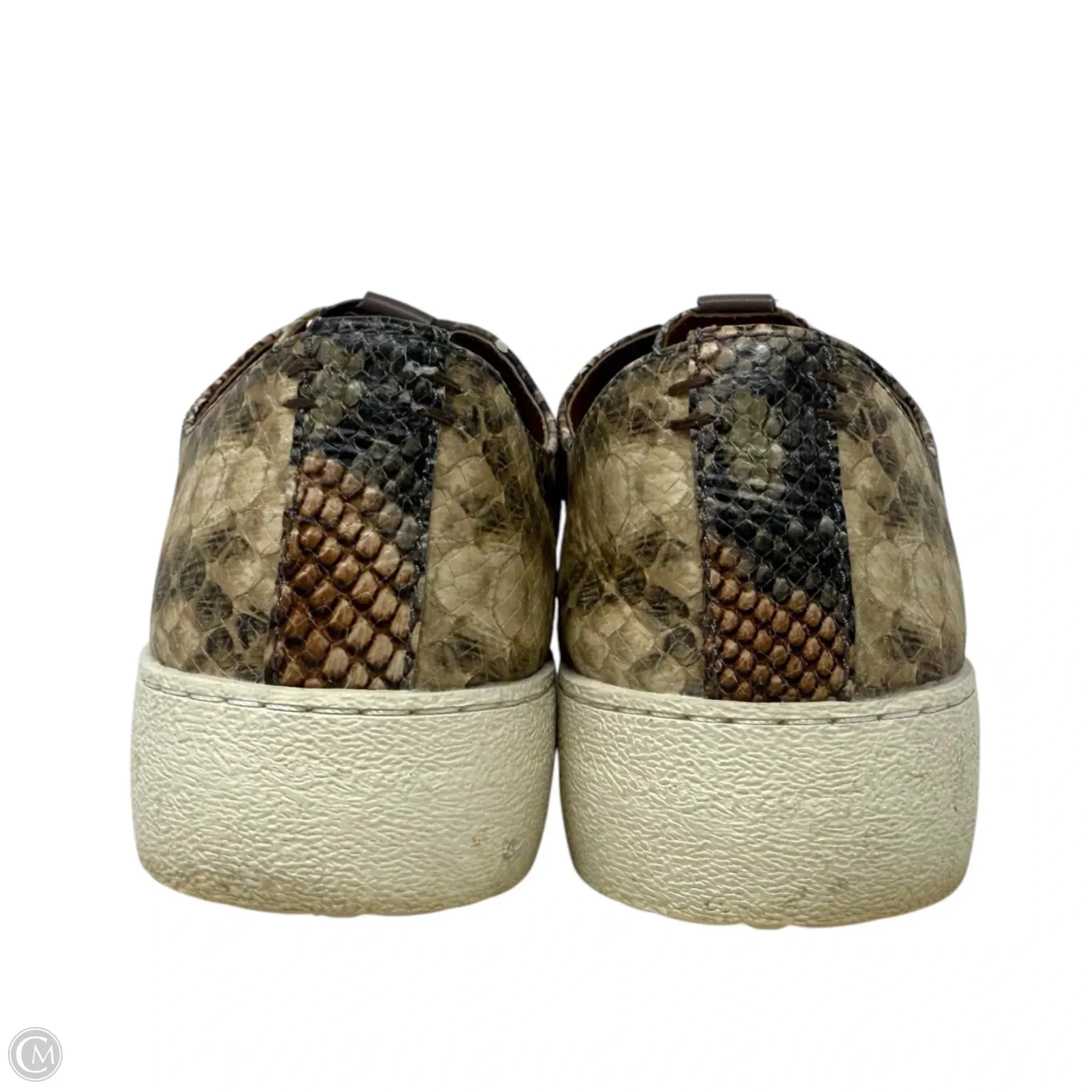 Webster Low Laced Up Sneakers Designer By Frye In Taupe Snake, Size: 7.5