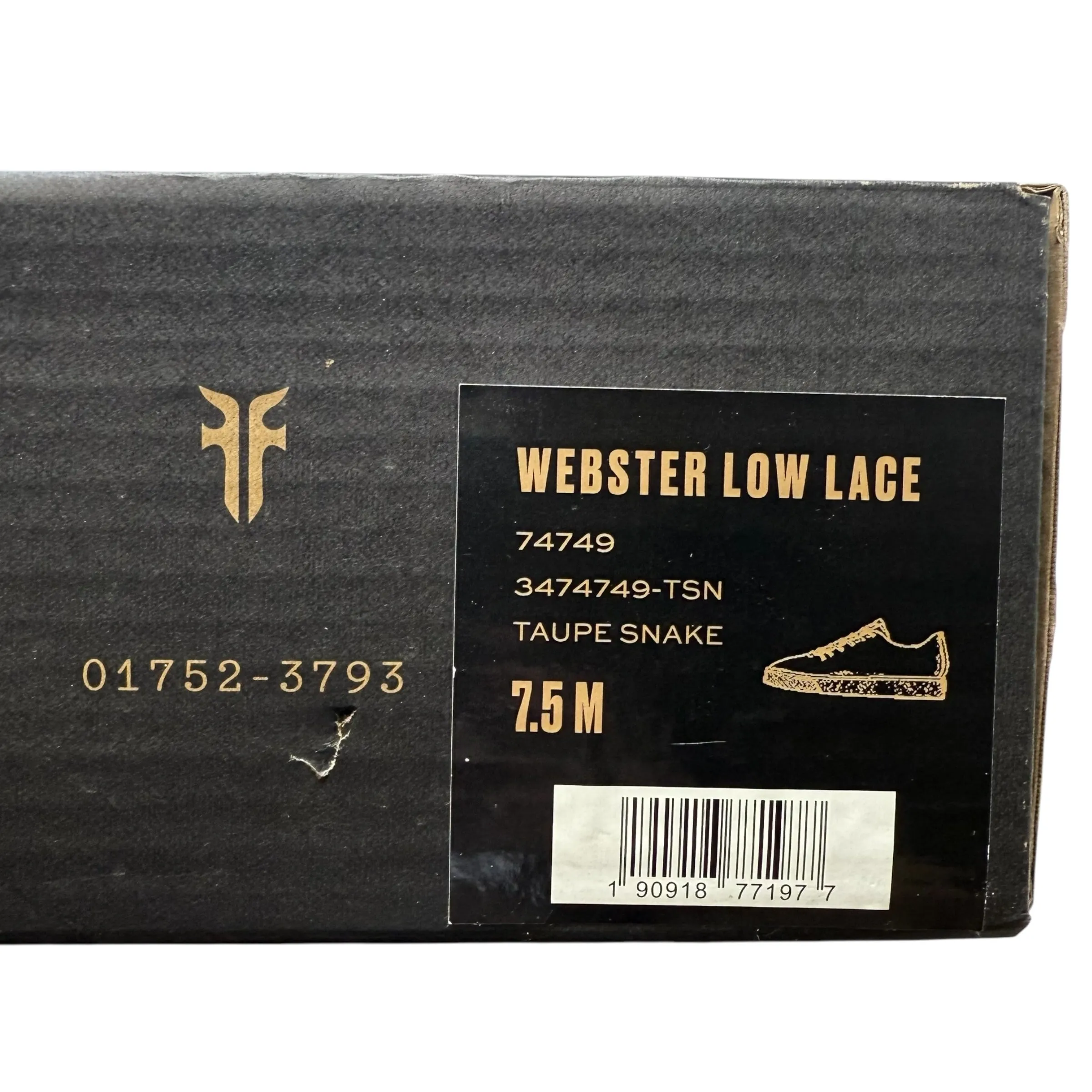 Webster Low Laced Up Sneakers Designer By Frye In Taupe Snake, Size: 7.5