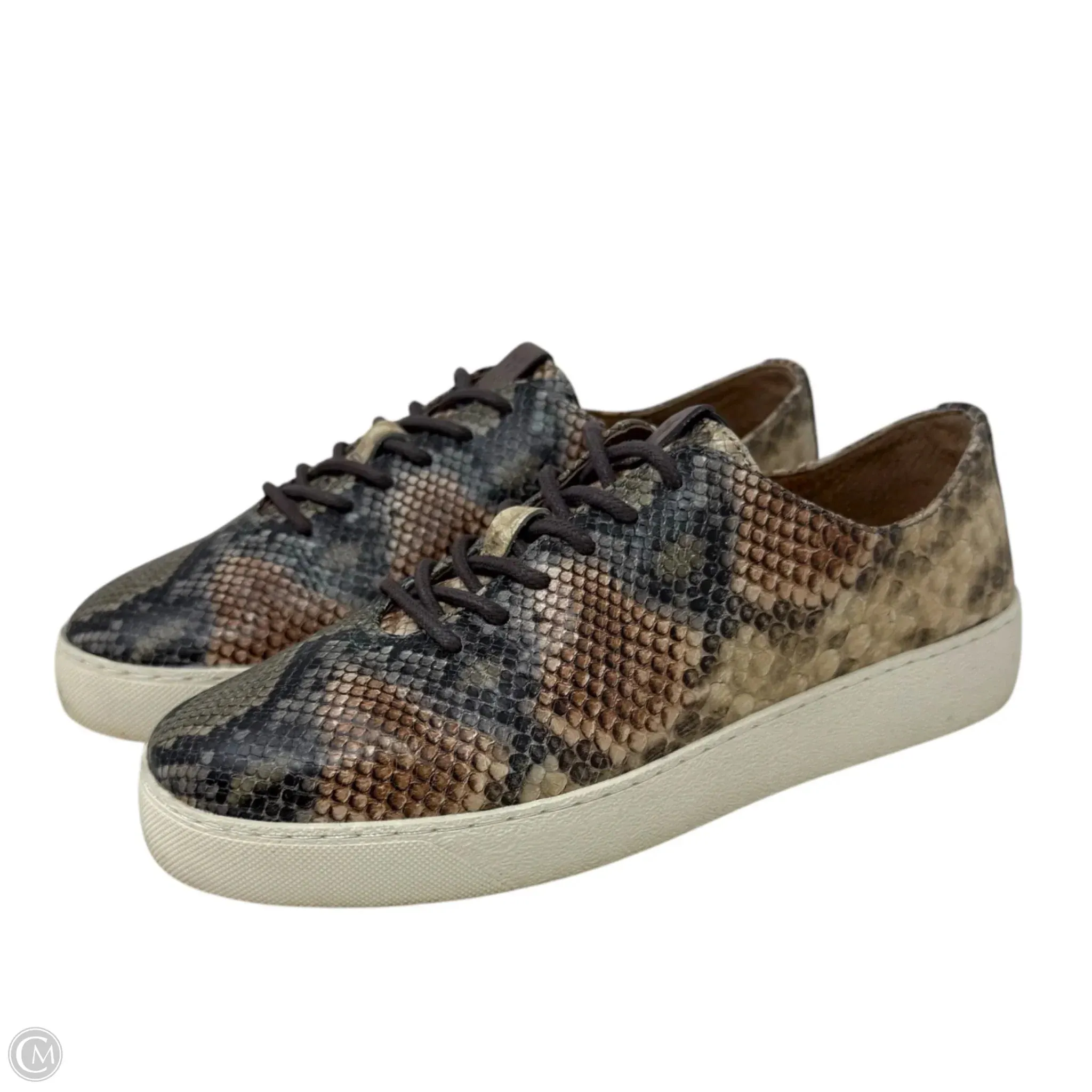 Webster Low Laced Up Sneakers Designer By Frye In Taupe Snake, Size: 7.5