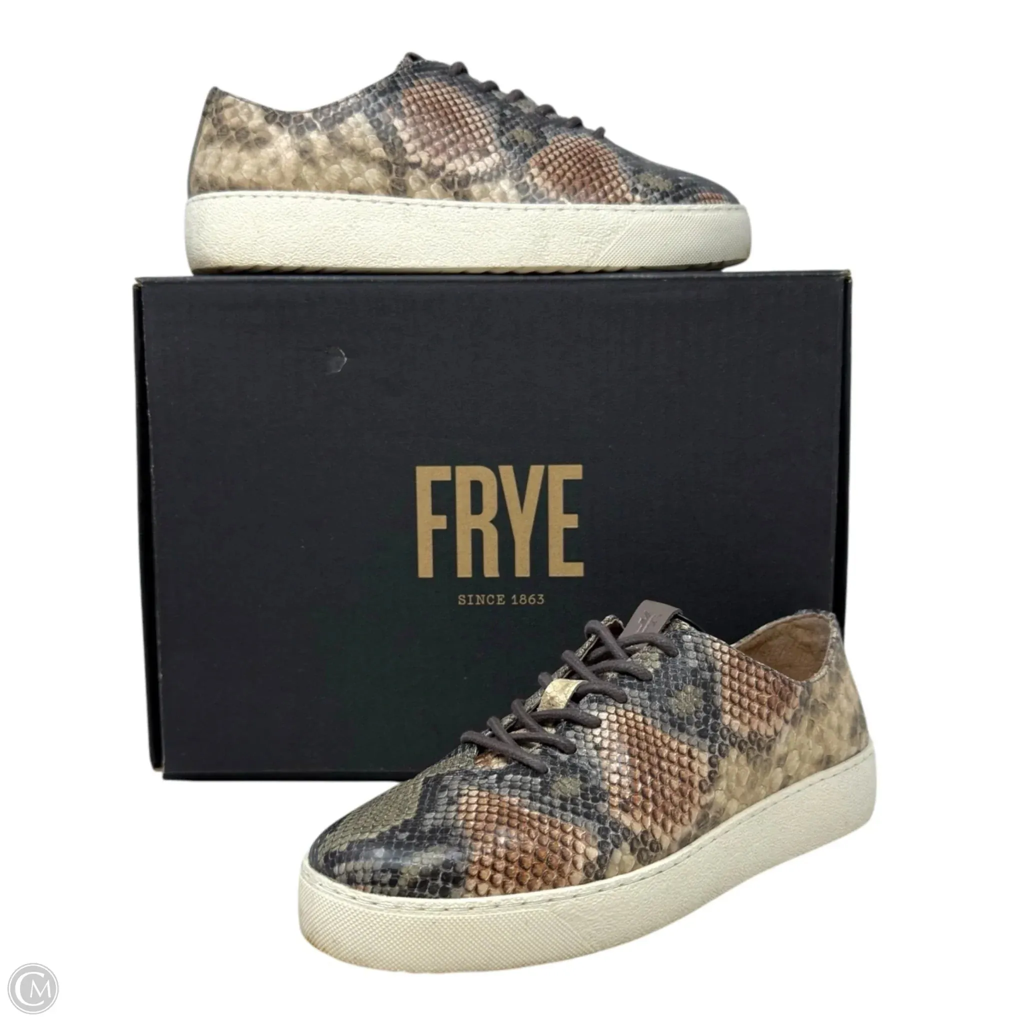 Webster Low Laced Up Sneakers Designer By Frye In Taupe Snake, Size: 7.5